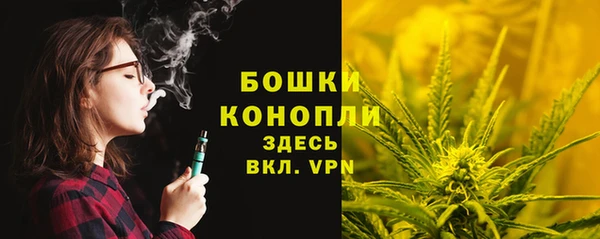 PSILOCYBIN Армянск