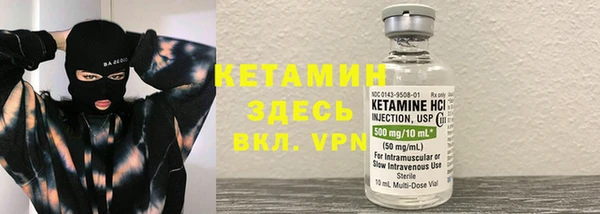 прущие грибы Аркадак
