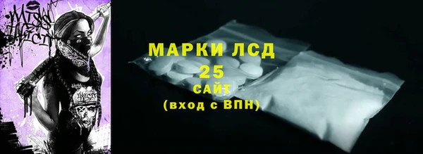 прущие грибы Аркадак