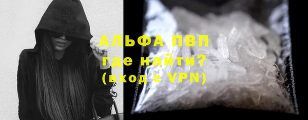 прущие грибы Аркадак