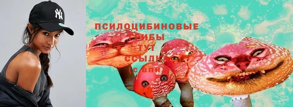 прущие грибы Аркадак