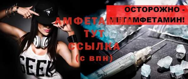 прущие грибы Аркадак
