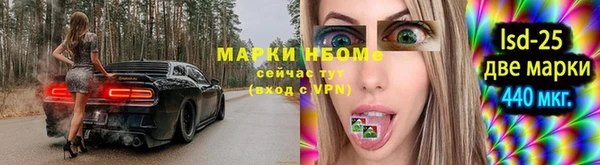 прущие грибы Аркадак