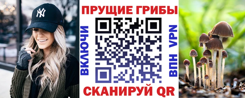 Галлюциногенные грибы прущие грибы Балей